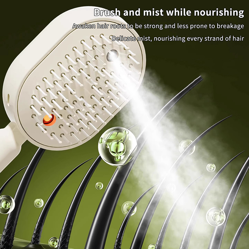 Multifunctional Massage Comb,E - Hair Care Spray 评论和价格